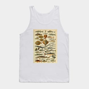 Fish Chart Tank Top